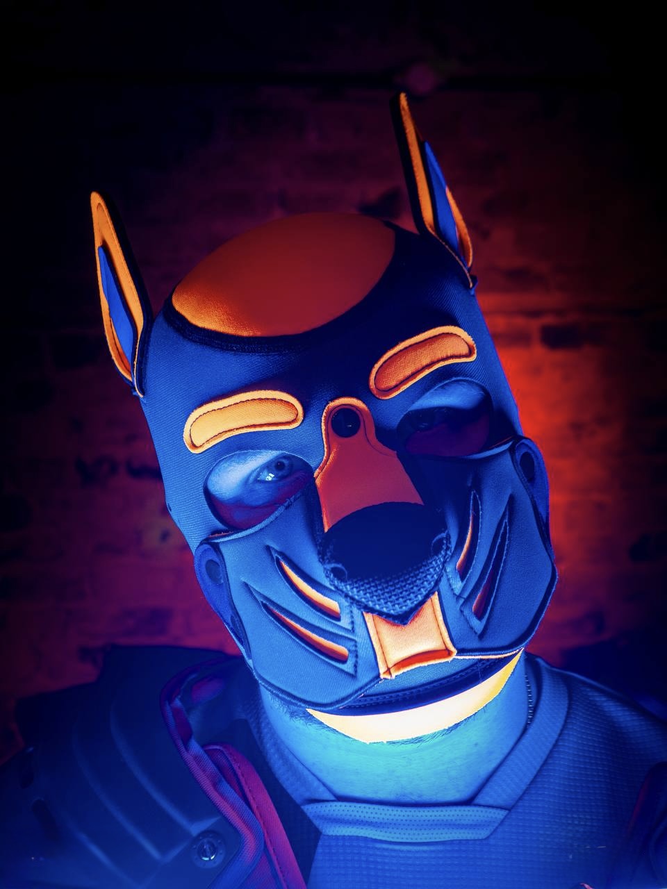 The Happy Pup wearing a blue and orange pup mask in vivid blue and amber light